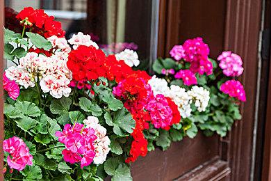 消息称PS5主机已可越狱 能够安装非官方软件